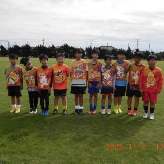 ポケモンビブスU-11